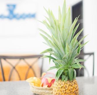 Centro Hotel | Asilé Hotel Boutique