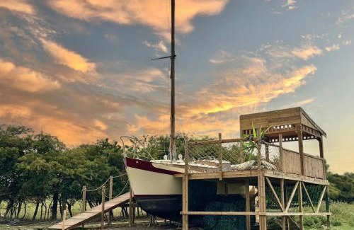 Stanton on the Wolds Boat Rental | Asila's Ark