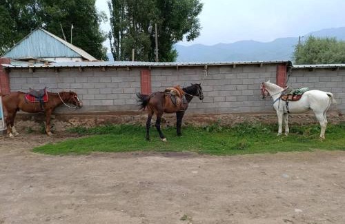 Naryn Region House | Askat Guest House