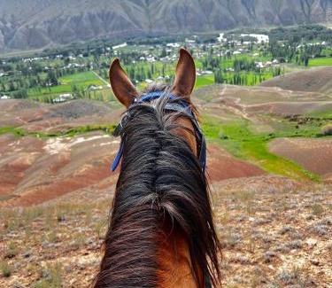 Naryn Region House | Askat Guest House