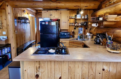 Winthrop Cabin | Aspen Hollow Cabin-Dog Friendly, Close to River and Walk to Ski Trail!