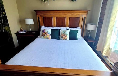 Creede Hotel | Aspen Inn - Spring Suite (Euro King)