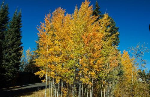 McCall Apartment | Aspen Village Golf Course Condo - Snowshoes