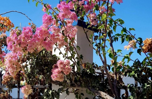 Linopotis Apartment | Aspro Spiti Hotelapart in Tigaki, Kos