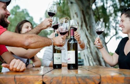 Qatsrin Ski Chalet | Assaf Boutique Winery & Cabins