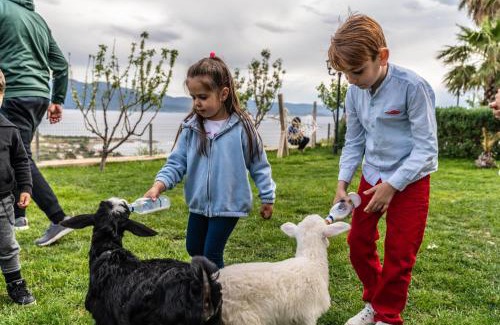Ayvacik Hotel | Assos Alis Farm Boutique Hotel & Spa