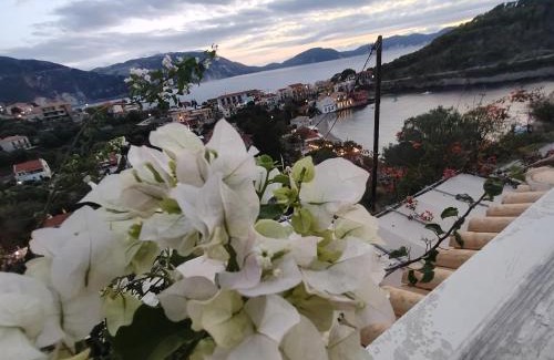 Frourion Apartment | Assos Caldera