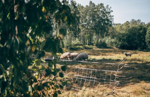 Svangsta Bed & Breakfast | Astensmåla Gård B&B