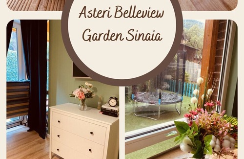 Sinaia Apartment | Asteri Garden & Terrace Apartment