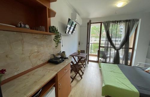 Elenite Apartment | Astoria SP Apartments