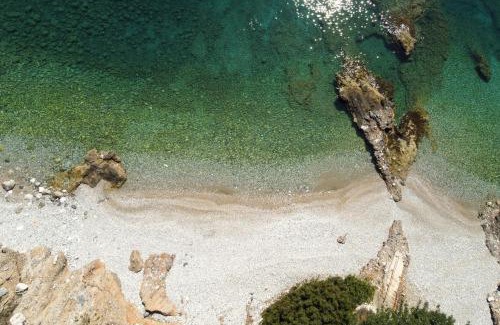 Paralia House | Astros Beach house within an olive farm