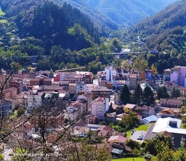 San Martin del Rey Aurelio Apartment | Asturias , zona central Valle Nalon