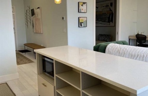 Traverse City Condo | Asylum 58 Condo @ Grand Traverse Commons