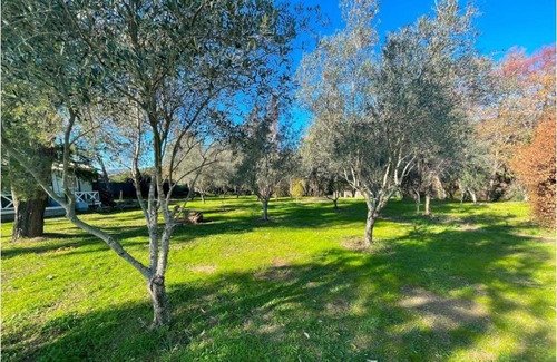 Speloncato Ski Chalet | At Casa Luvi 2/2