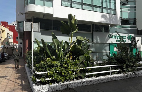 Casablanca City Center Apartment | At home in the heart of Casablanca