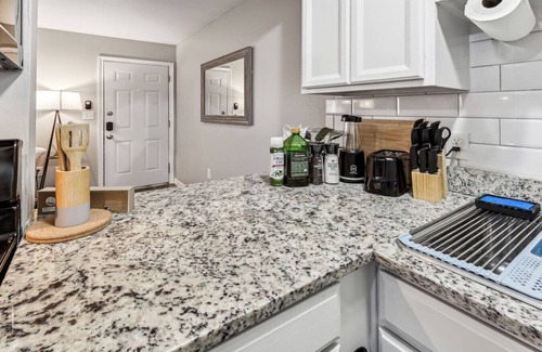 Central Arlington Apartment | AT&T & In the heart of it ALL!
