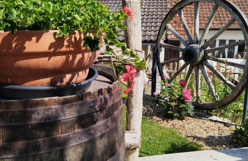 Cunfin House | At the foot of the Champenois vineyards house situated between vineyards and the Champenois forest