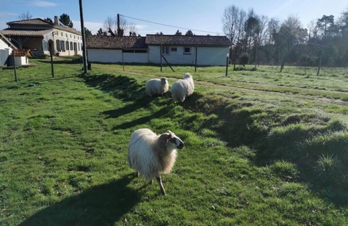 Lagorce House | At the heart of the "Ferme de Queyron": quietude and welfare !