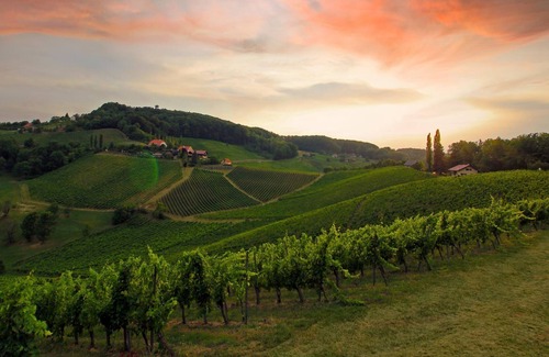 Spiefeld Apartment | At the location TOP 5, Austria