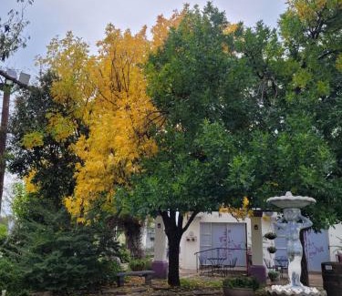 Mohokare Bed & Breakfast | At The Nest Bed & Breakfast Guesthouse