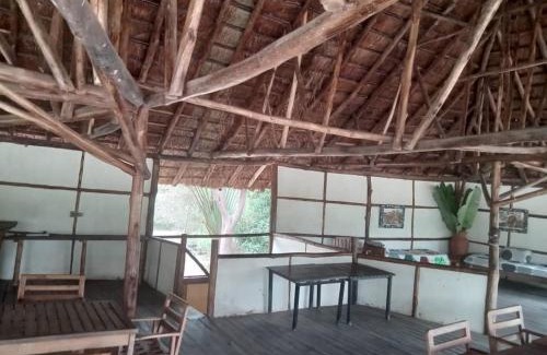 Ishasha Cabin | At The River Lodge
