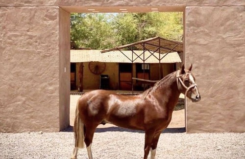 San Pedro de Atacama House | Atacama Arriera - Origin Experience (Newly remodeled)
