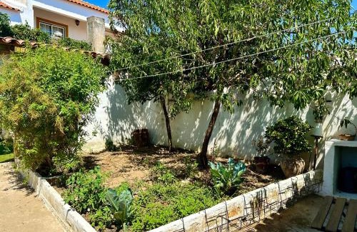 Ervidel House | Atelier 20th