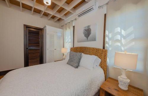 San Pedro House | Athena's Mahogany House and The PoolClub at Mahogany Bay!