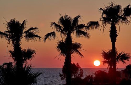 Kissonerga Hotel | Atlantica Golden Beach Hotel - Adults Only