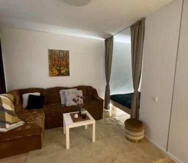 Anyksciai Apartment | Atostogos