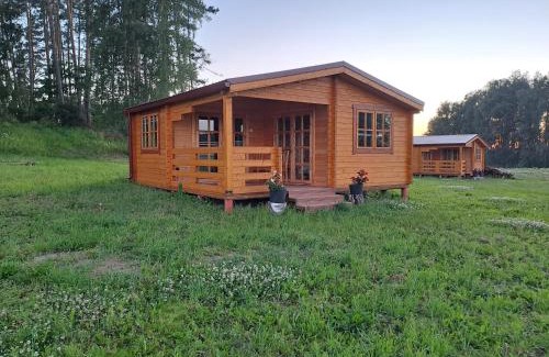 Tervete House | Atpūta Priedītēs - pie Tērvetes Dabas parka ar zirgiem, ponijiem un dabas tuvumu
