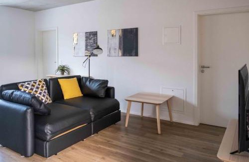 Schaffhausen Apartment | Atrium Apartment 2