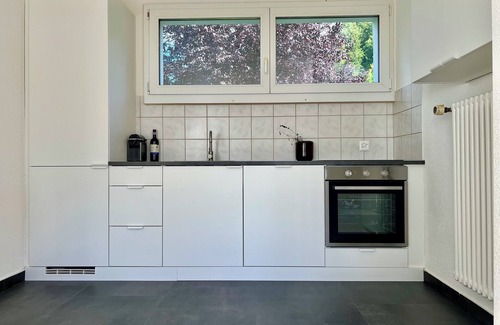 Uetliberg House | Atrium-Haus 15 minutes from Zurich, 40 minutes to Luzen 55 minutes to Pilatus