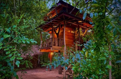 Dambulla Cabin | Attale eco resort