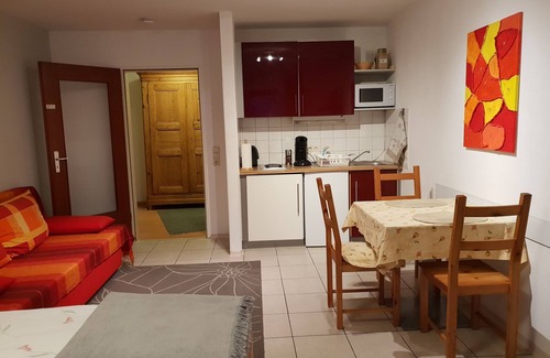 Unterwiehre-Sud Apartment | Attractive apartment with a large bed for a good night's sleep