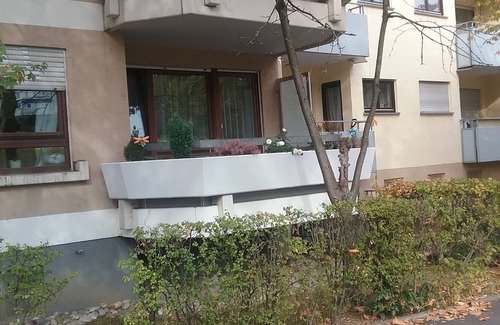 Unterwiehre-Sud Apartment | Attractive apartment with a large bed for a good night's sleep