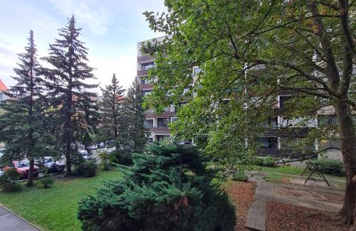 Gaishorn Apartment | Außergewöhnlich