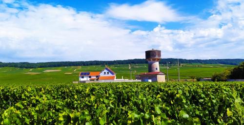 Bouzy Bed & Breakfast | Au Bouchon Champenois