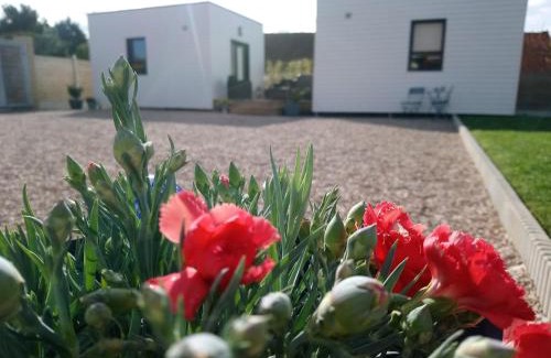 Saint-Quentin-en-Tourmont Bed & Breakfast | Au Cap Norwoe