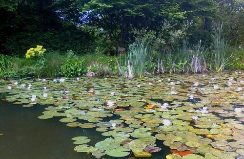 Missillac House | Au Jardin d'Eau