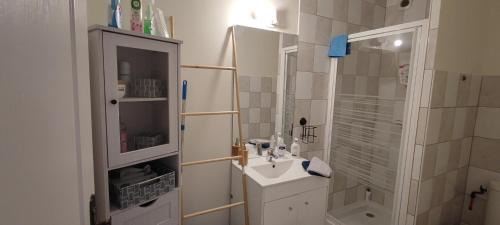 Bellegarde-du-Loiret Apartment | Au pied du Château