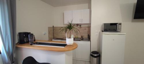 Bellegarde-du-Loiret Apartment | Au pied du Château