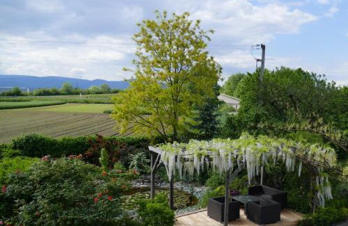 Sermersheim Hotel | Au Relais de l'Ill
