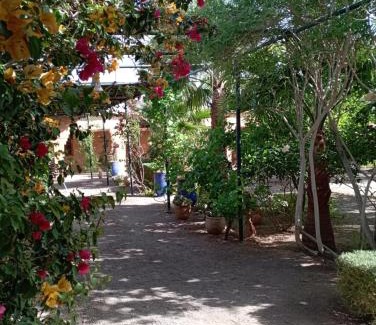 Nekob Bed & Breakfast | Auberge Bassou