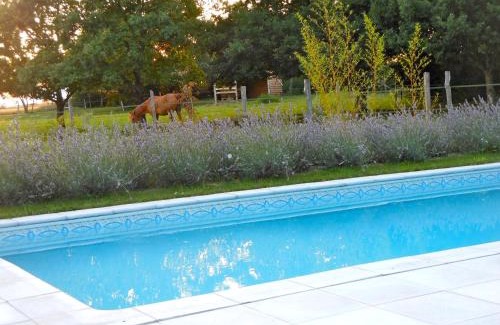 Andryes Bed & Breakfast | Auberge de la Tuilerie