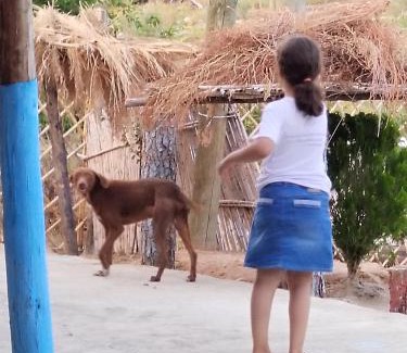 Zoumi House | auberge yeswal aoulad yaakoube