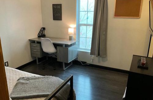 Chester Apartment | Auburn