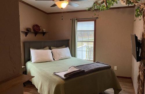 Chester Apartment | Auburn