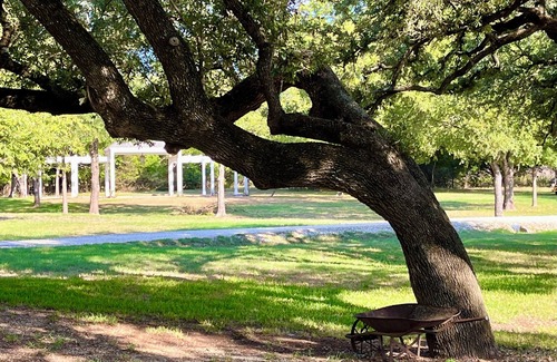 Clifton Cottage | AUDUBON Romantic Cottage on Private Country Estate-40 min. to Waco