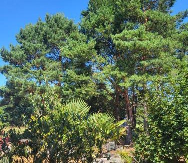 Ahlbeck Apartment | Aufatmen in Ahlbeck